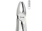 Preview: Extracting Forceps, English Pattern, Upper centrals and canines, wide (DentaDepot)