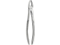 Preview: Extracting Forceps, English Pattern, Upper centrals and canines, wide (DentaDepot)
