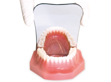 Chrome-plated mirror, occlusal (child)