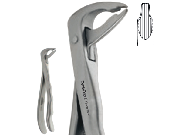 Extracting Forceps, Anatomic handle, Lower centrals, canines, premolars