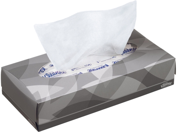 Kleenex cosmetica zakje wit 22x19cm 100st.
