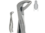 Extracting Forceps, Anatomic handle, Lower centrals, canines, premolars