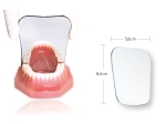 Chrome-plated mirror, occlusal (child)